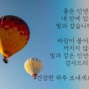 에버그린 베스트