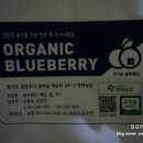 병화 농장 이미지