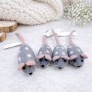 레인보우동물병원 | 2026 부산 궁팡 후기