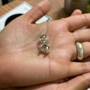 그린호프 네이버블로그