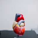 괴정수석치과의원 이미지