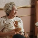 서구-01-156 이미지