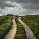 형통행정사 이미지