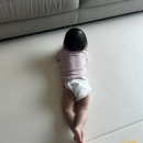 리코코 - 시흥시 매화2로 12-1 | 유아매트로 선택한 꿈비 리코코 폴더매트 한달 사용 후기