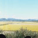 의성꽃화원 이미지