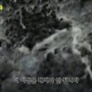 센트럴세차