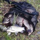 연일초등학교 이미지