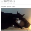 네뜨네일 - 원주시 | 네뜨네일