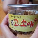 청아수석곤충나라