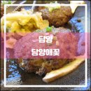 담양愛꽃 | 담양 담양애꽃(2016.11): 번들번들, 방송의 힘, 묻지말고 너도나도