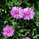 제주 올레길 6코스 이미지