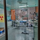 티플러스동물메디컬센터 이미지