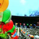 [전북여행] 한국의 불가사의 마이산 탑사를 탐방하다. 이미지