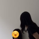 더제이헤어숲