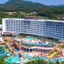 스플라스리솜 이미지