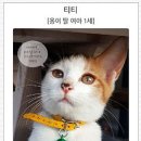 (주)티모션코리아 이미지