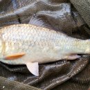 백용낚시터 이미지