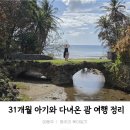 리틀짐 태권스쿨 | 31개월 두돌반아기와 괌 여행 일정, 렌트카, 총 비용, ross 타미힐피거 쇼핑 ,괌 여행 팁_스압주의