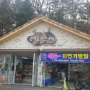공지천 자전거대여 네이버블로그