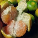 서촌농장 이미지