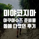 이브슈즈 | 미야코지마 아쿠아슈즈 신고 다니다 다친 후기 이브 투약