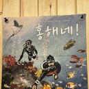 홍해 | 이집트🇪🇬 | 다합(Dahab) | 홍해네 한인 게스트하우스 솔직후기