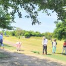 제주생활체육공원 파크골프장 이미지