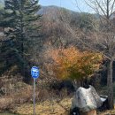 푸른농원식당 이미지