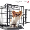 드라이브펫 이미지