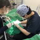 2080자연이치과의원 이미지