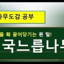 느릅나무