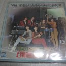 들고양이들(THE WILD CATS) LP 이미지