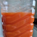 하도리 님과 함께 이미지