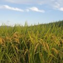 파주농업협동조합 경제사업장 이미지