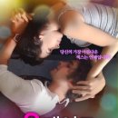 메이트인터네셔날