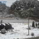 마지2리 마을회관 네이버블로그