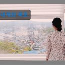 내게와 묵호 | 강원도 묵호 동해 숙소 펜션 내게와 묵호 묵호의 편안한 게스트하우스