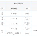 가정 티스토리