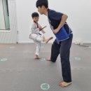 태낭태사 태권도장 다온관 이미지