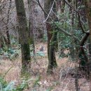 붉은오름자연휴양림1 이미지