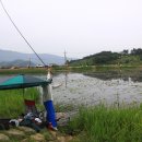 유등연지 이미지