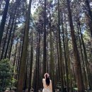 분당서현1-D-4 | 서현역미용실 강추 헤어더뷰 서현점 레드염색후기