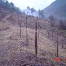 고라농장 이미지