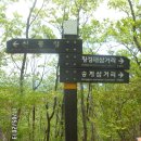 덕유산국립공원 흥덕산 투구봉(1276.3m,HL/JB-010)(20130517)... 이미지