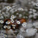 현도농장 이미지