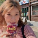 144기 롤라입니다 이미지