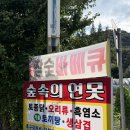 숲속의오리 | 인천 계양 계양산 닭 백숙 오리주물럭 야외 야장 맛집 숲속의 연못 단체 모임 추천