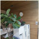 인터넷행정사사무소 이미지