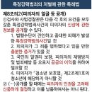 황하나 얼굴 모자이크는 과잉친절? 이미지