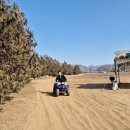빙어마을길212-11 | 겨울 빙어축제 추천 양평 빙송어축제 낚시 수미마을에서 힐링 여행